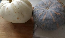 玉瓜还能怎么吃,创意烹饪新主张