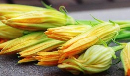 吊瓜胡芦花怎么吃