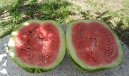 梦见我看别人吃瓜,揭秘“我看别人吃瓜”的神秘寓意