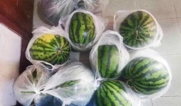 异形吃瓜不,揭秘吃瓜背后的神秘力量