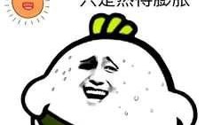 老猪吃瓜顶呱呱,趣味横生的乡村生活画卷