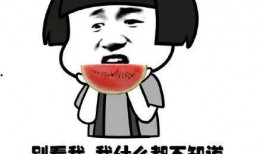 吃瓜还要挨枪,警惕“吃瓜”背后的风险与挑战