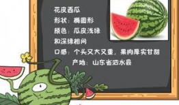 吃瓜读稿长时间