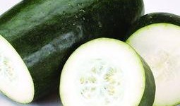 夏天吃瓜少女头像