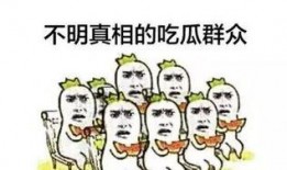 二级吃瓜群众,二级吃瓜群众视角下的娱乐圈风云录