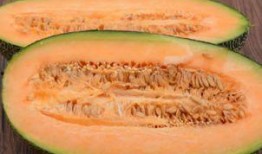 吃哈密瓜的外婆,甜蜜回忆里的味蕾之旅