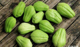 吃瓜配图图片,图解美食瞬间