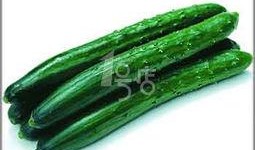 茂幼吃瓜,揭秘校园里的那些“瓜”