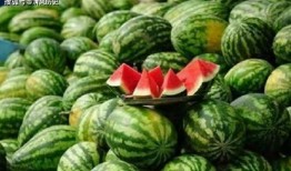 吃瓜用哪个网站