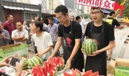 北京吃瓜群众网