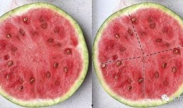 吃瓜区域,探寻美食与文化的交汇之地