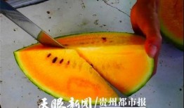 贵阳人吃瓜,揭秘贵阳人独特的“吃瓜”文化