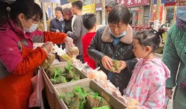 莒县吃瓜群众,吃瓜群众的欢乐盛宴